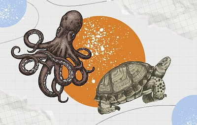 Осьминог, черепаха и другие техники управления бизнес-процессами